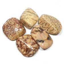 Zebradorite Tumbled