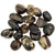 Amber Tumbled