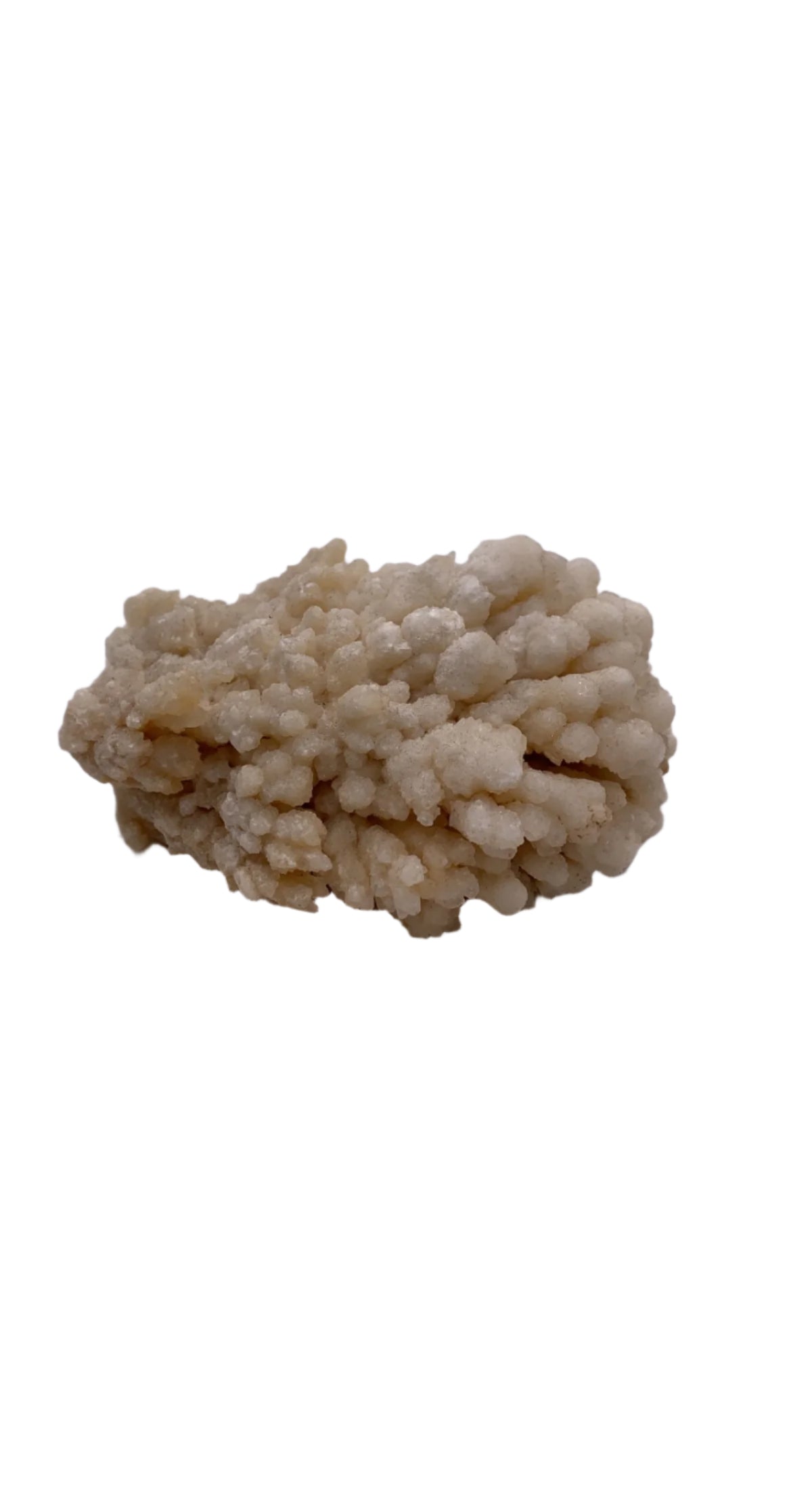Coral Calcite Chonk