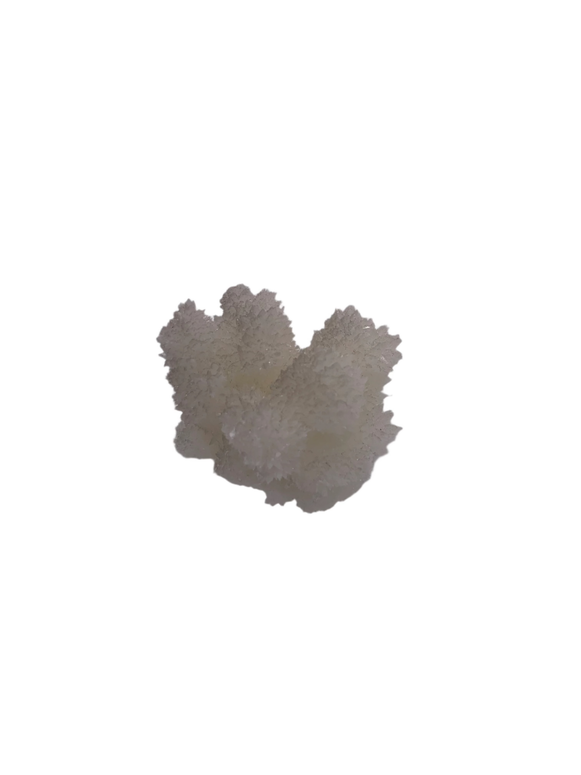Dogtooth Calcite Specimens (white aragonite)