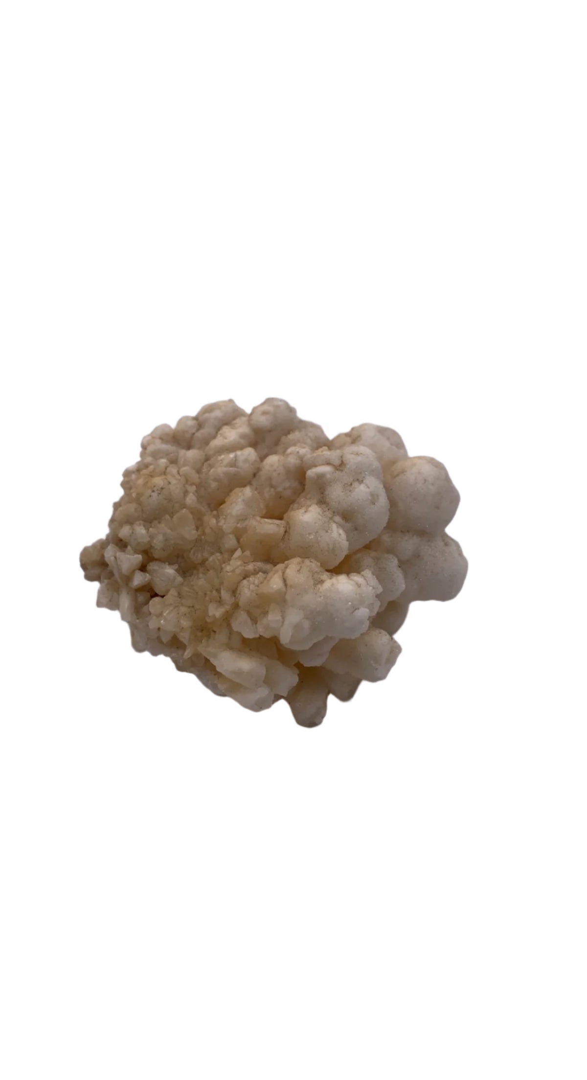 Coral Calcite Chonk