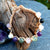 Divine Intention Bracelets by Maiden Minx