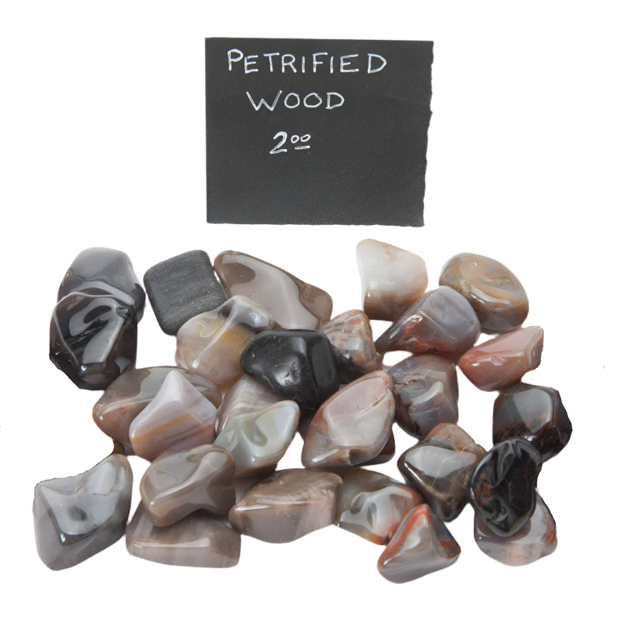 Petrified Wood Tumbled